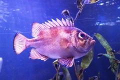 Tagesausflug in den ZOO Leipzig
