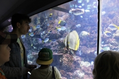 Tagesausflug in den ZOO Leipzig