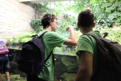 Tagesausflug in den ZOO Leipzig