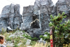 Tagesausflug in den ZOO Leipzig