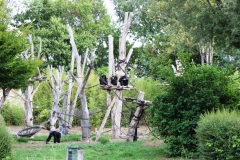 Tagesausflug in den ZOO Leipzig