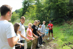 sfz2023-08-15_IMG_4664-scaled