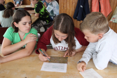 sfz2023-08-15_IMG_4695-scaled