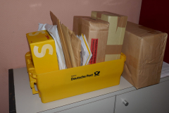 Sfz2021-08-18-6-scaled