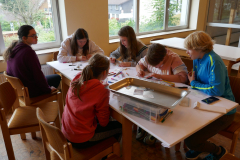 Sfz2021-08-19-1-1-scaled