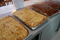 Sfz2021-08-19-10-scaled