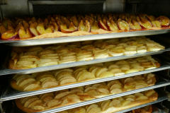 Sfz2021-08-19-9-scaled