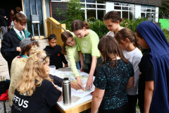 Sfz2021-08-20-6-scaled