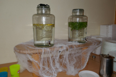 Sfz2021-08-22-11-scaled