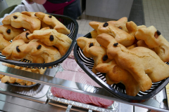 Sfz2021-08-22-6-scaled