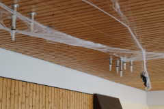 Sfz2021-08-22-8-scaled