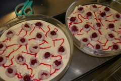 Sfz2021-08-22-9-scaled