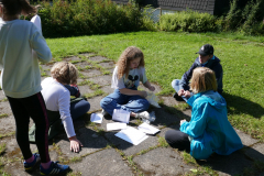 Sfz2021-08-23-4-scaled