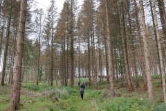 Sfz2021-08-26-3-scaled