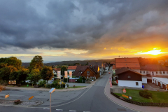 Sfz2021-08-26-4-scaled