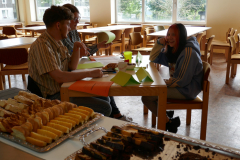 Sfz2021-08-27-10-scaled