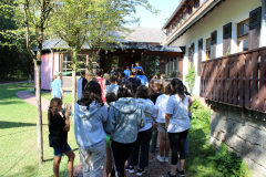 sfz2022-08-08_IMG_2879