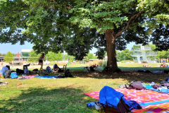 sfz2022-08-11-1-scaled