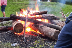 sfz2023-08-13_20230813_205546-scaled