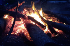 sfz2023-08-13_20230813_212328-scaled