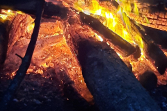 sfz2023-08-13_20230813_212339-scaled