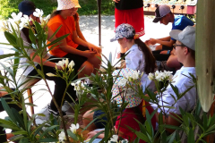 sfz2025-08-10_P1030465-Kopie-scaled