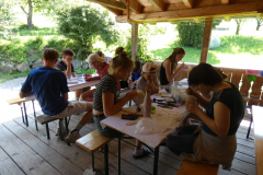 sfz2025-08-11_P1030508-scaled