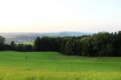 sfz2025-08-12_IMG_5387-scaled