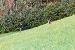 sfz2025-08-12_IMG_5389-scaled