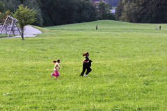 sfz2025-08-12_IMG_5402-scaled