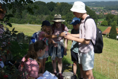 sfz2025-08-14_P1030556-scaled