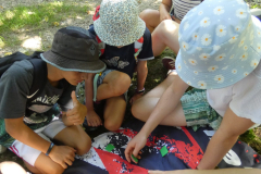 sfz2025-08-14_P1030579-scaled