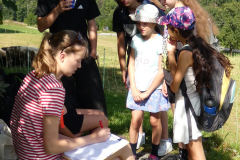 sfz2025-08-14_P1030591-scaled