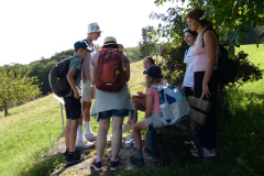 sfz2025-08-14_P1030653-scaled