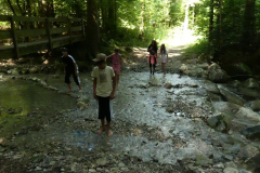 sfz2025-08-14_P1030663-scaled