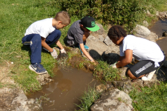 sfz2025-08-15_P1030725-scaled