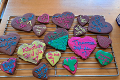 sfz2025-08-15__20250815_175922-scaled