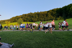 sfz2025-08-15__20250815_193419-1-scaled