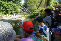 sfz2025-08-18_P1040195-scaled