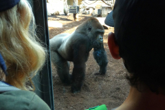 sfz2025-08-18_P1040202-scaled