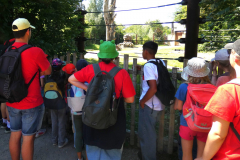 sfz2025-08-18_P1040235-scaled